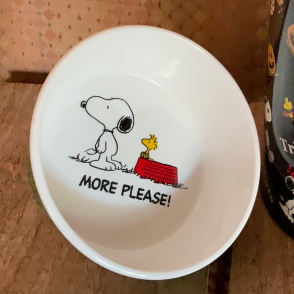 Snoopy & Woodstock Halloween Costumes Canister & MORE PLEASE! pet bowl NWT - Picture 8 of 9